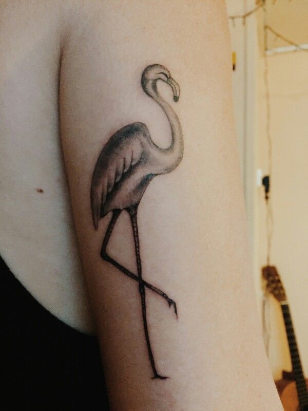 Flamingo with Lamb Tattoo