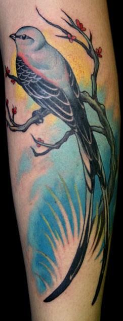 Tattoo of a Paradise Flycatcher
