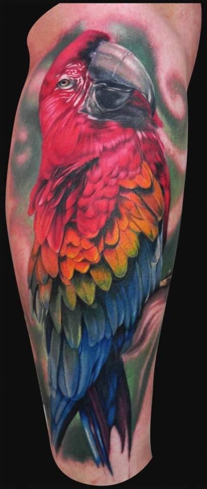 Tattoos of parrots