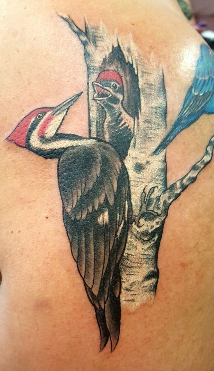 Bird Tattoo Design - 31 Ideas for Free Spirited People 10 Woodpecker Tattoo