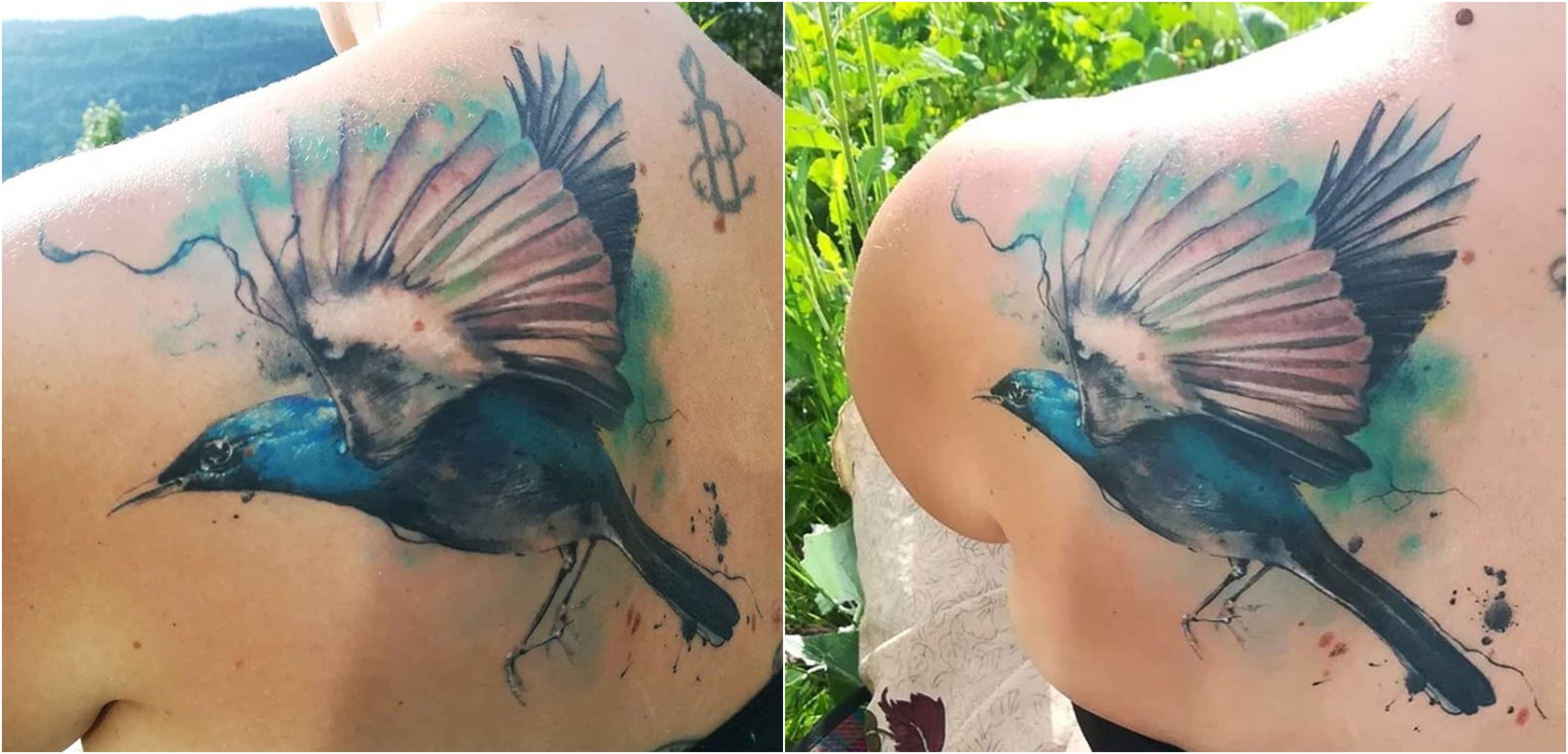 bird tattoo design ideas