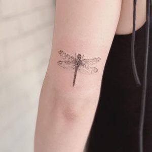 Dragonfly Tattoo Designs -30 Top Ideas - Top Beauty Magazines