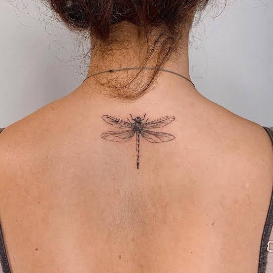 Dragonfly Tattoo Designs