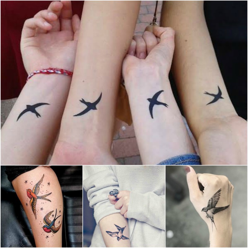 Swallow Tattoo Design Ideas