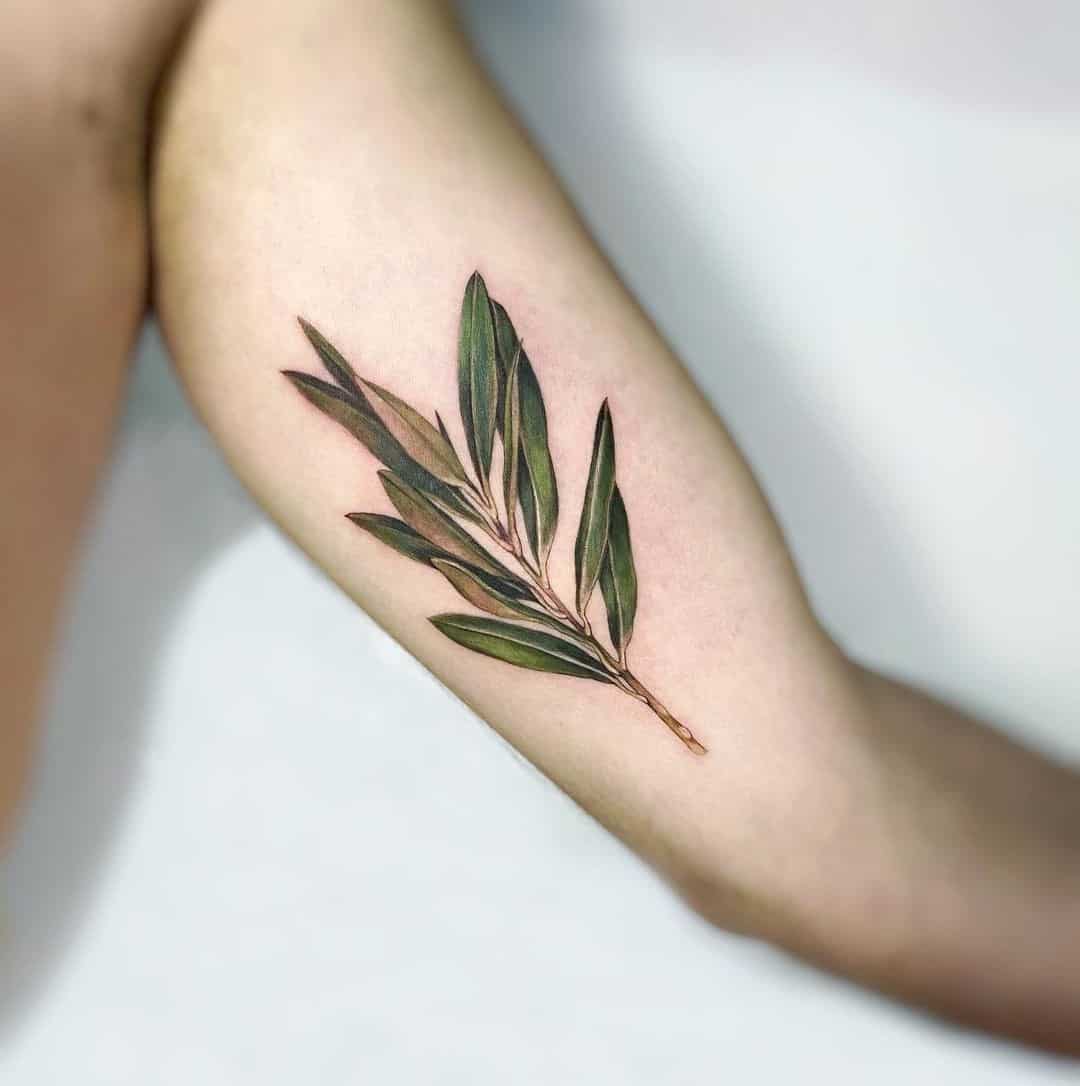 11. TATTOO OF THE OLIVE TREE