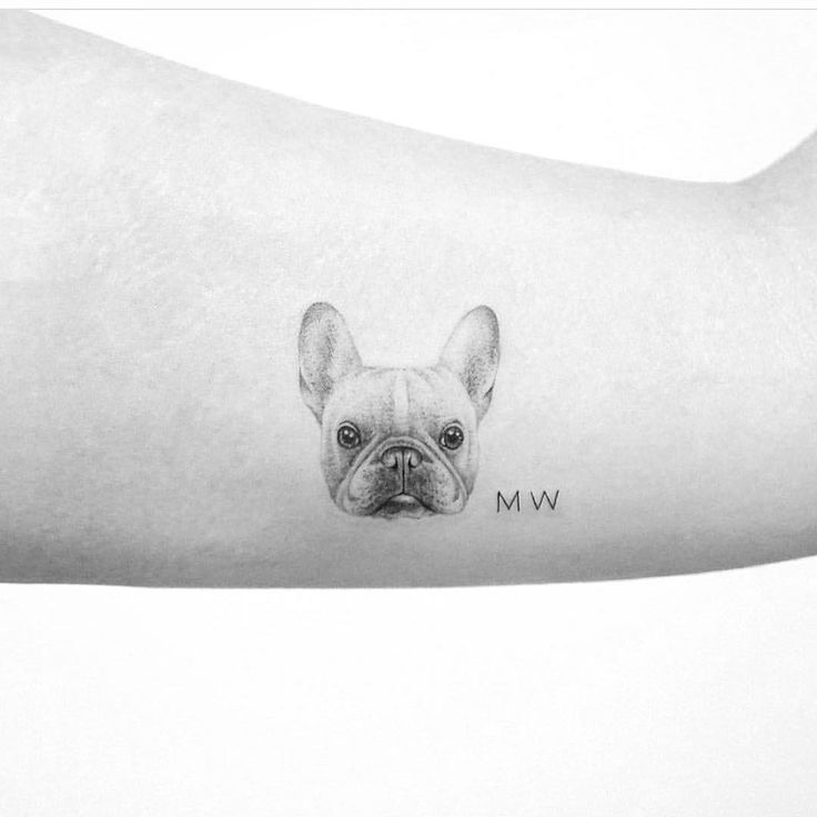 15. Micro-Realistic Dog Gang Tattoo