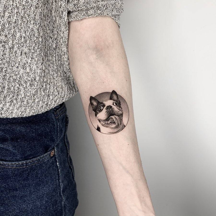 Circle Color Realistic French Bulldog Tattoo