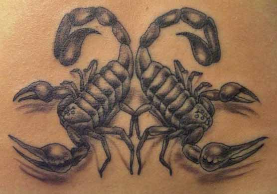 Two Scorpions Tattooed
