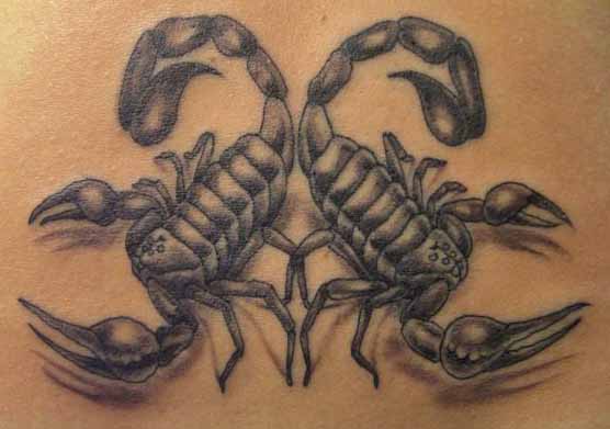 Scorpion Tattoo Designs - 31 Creative Ideas to Inspire You 10 Two Scorpions Tattooed
