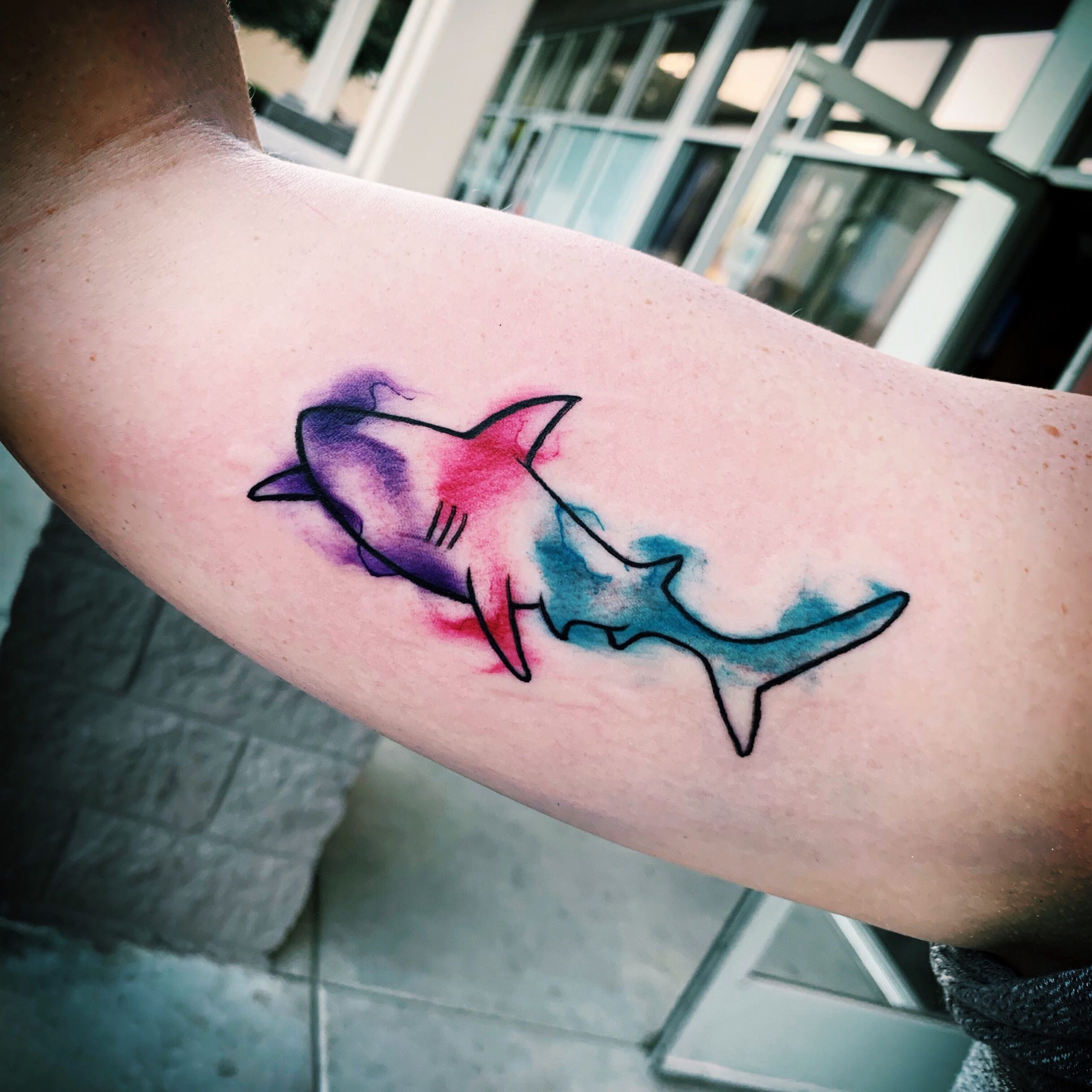 Colorful Shark Tattoo Design