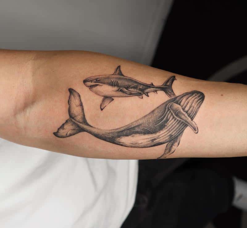 Shark Tattoo Ideas - Symbolizing Authority and Guardianship 8 Shark Against The Whale Tattoo Design