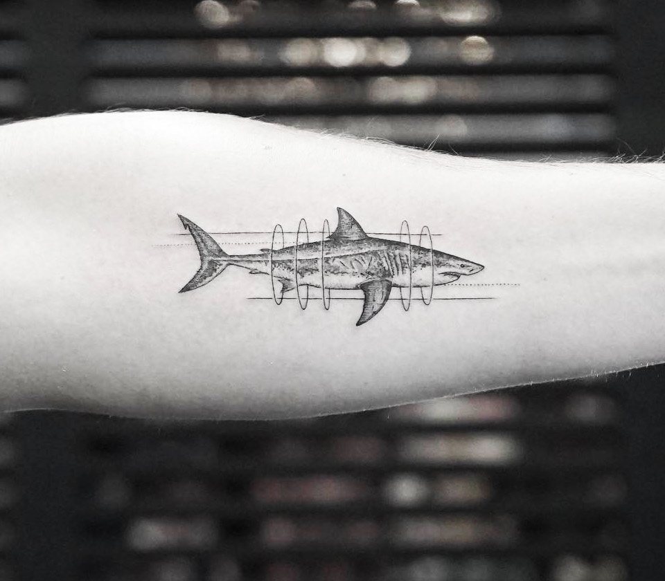 shark tattoo