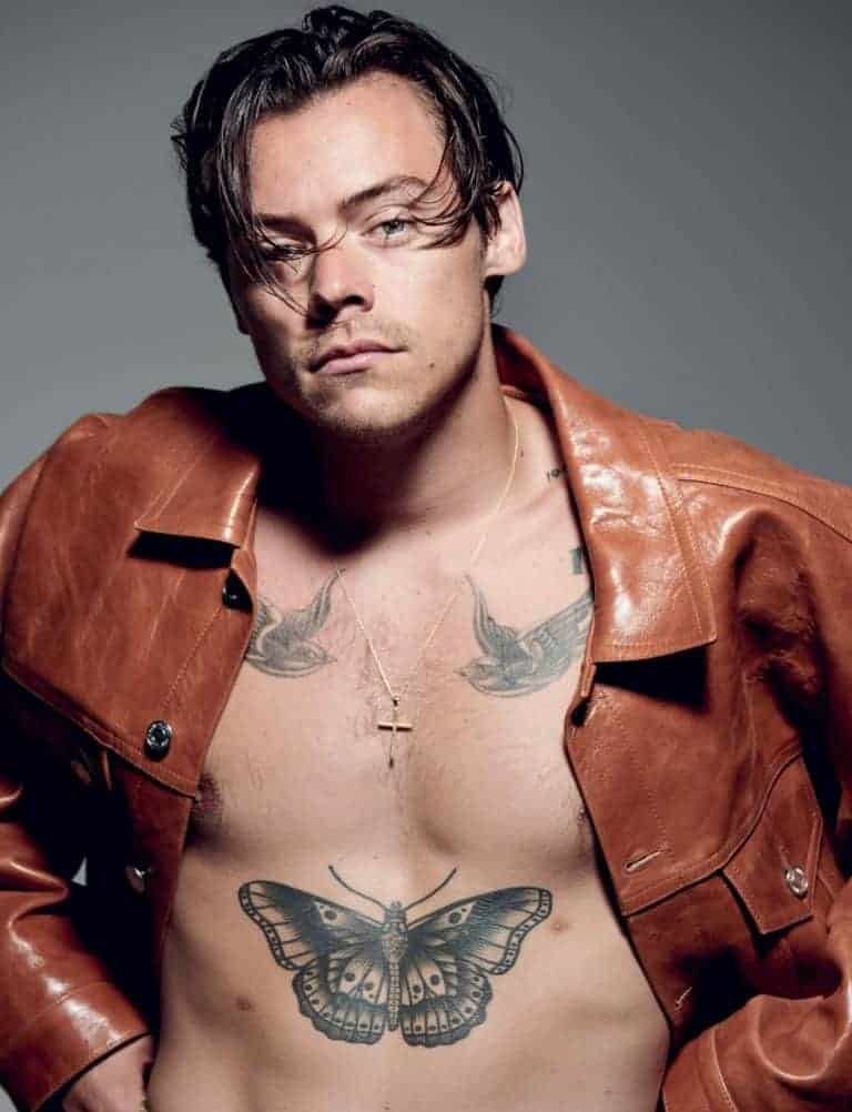 A Guide to More than 51 Tattoos That Harry Styles Has - For All the Harries Out There 22 A Guide to More than 51 Tattoos That Harry Styles Has - For All the Harries Out There Top Beauty Magazines