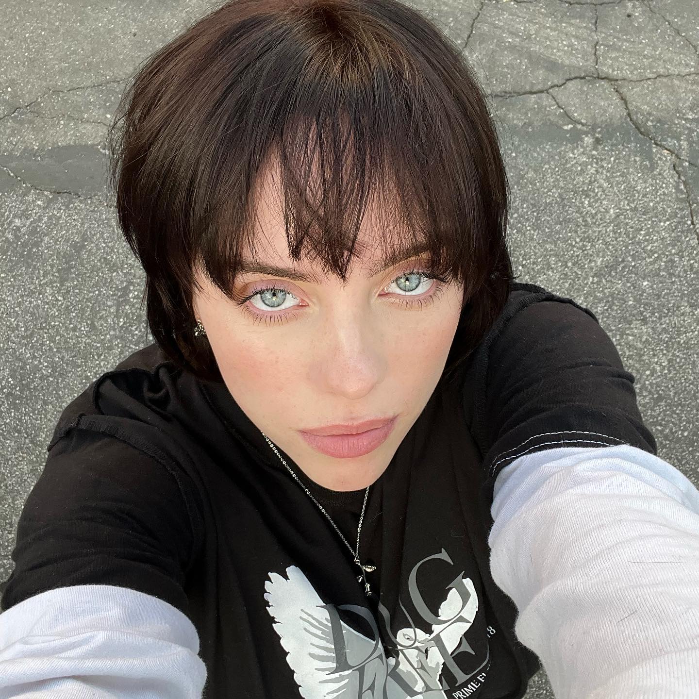 Billie Eilish's Iconic Hair Color Journey: A Revolution in Shades 16 Billie Eilish's Iconic Hair Color Journey: A Revolution in Shades Top Beauty Magazines