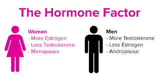 Male and female hormones